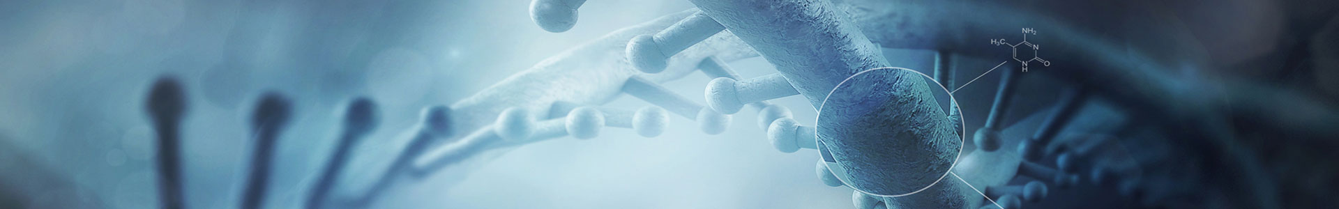 飼養(yǎng)繁育技術(shù)服務(wù)