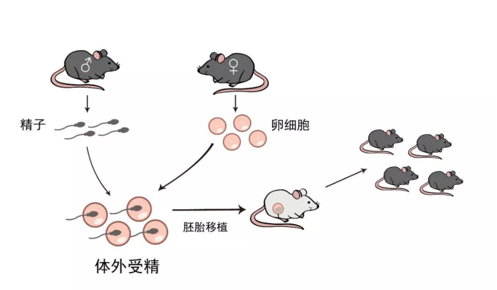 圖片關(guān)鍵詞