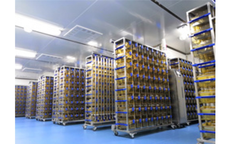 基因工程鼠飼養(yǎng)繁育服務(wù)